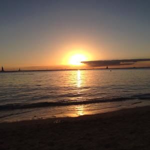 Meet your Posher, Sena